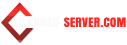 Silkroad Server